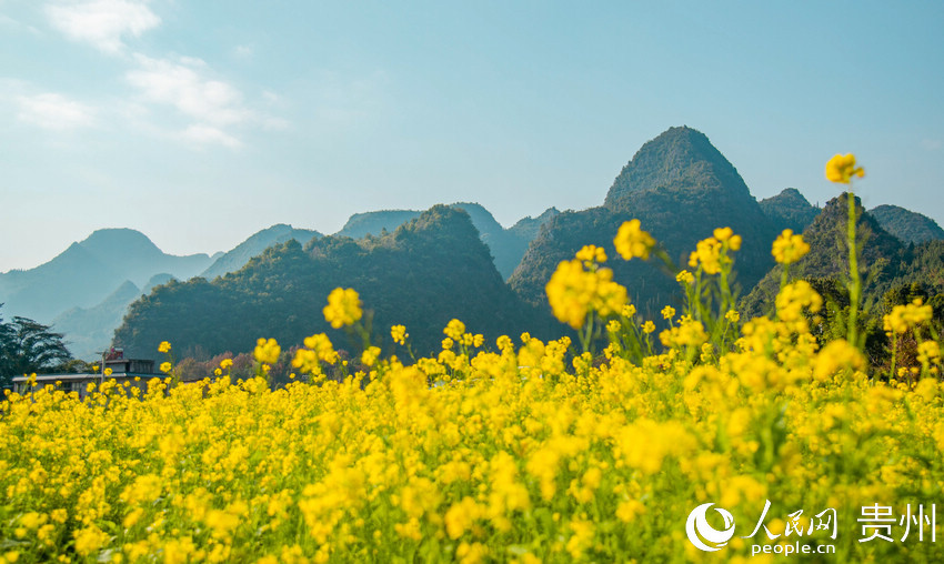 ���c�h(yu��n)̎�ķ��ֽ����xӳ