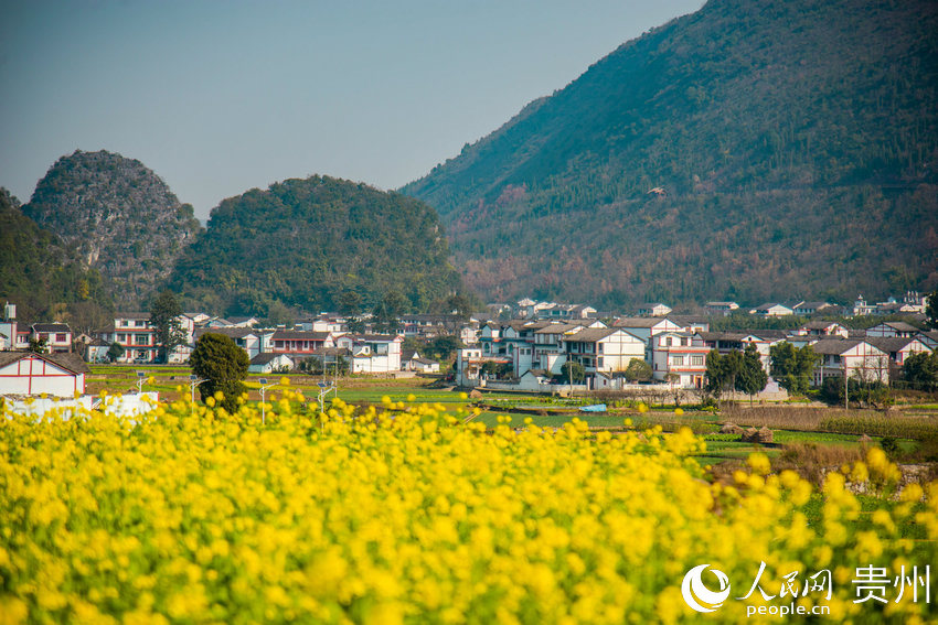 �Ͳ˻��c���f