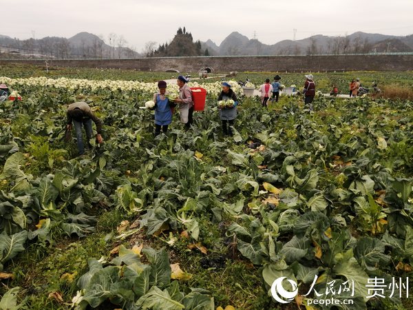 �����M(j��n)�в���