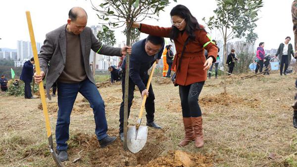 �x��ֲ���ӡ��� Ⱥ �z