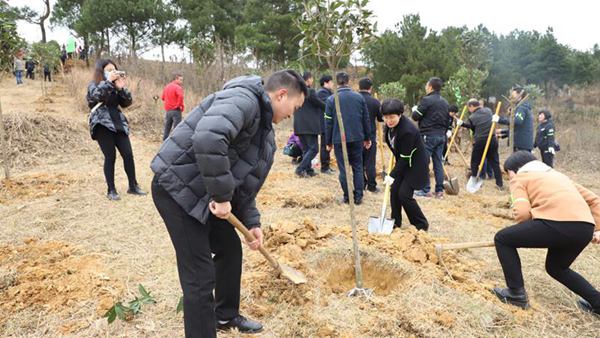 �x��ֲ���ӡ���Ⱥ �z