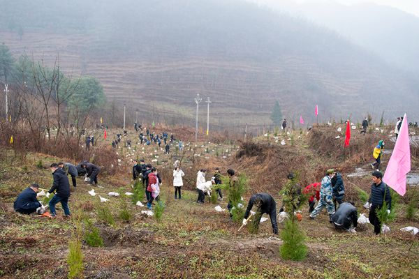 ֲ��(sh��)�F(xi��n)��(ch��ng)����W(xu��)�� �z