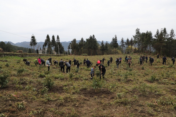 ͩ���h��3000���ɲ��_(k��i)չ2021���x��(w��)ֲ��(sh��)���(d��ng)������(gu��)�� �z