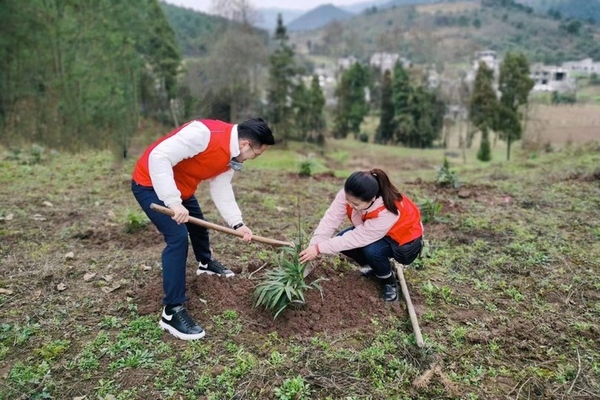 ͩ���h��ԭ�(zh��n)�_չ�x��(w��)ֲ���� ��ͩ���h��ý�w���Ĺ��D