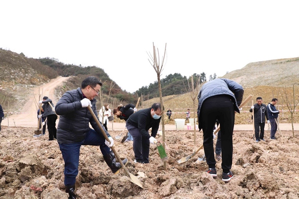 �x��ֲ��F������ӱ� �z