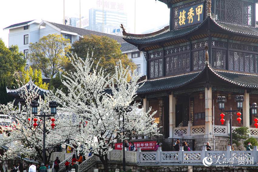 ��ɫ��c����ǽ����xӳ�������ա�����W ���� �z