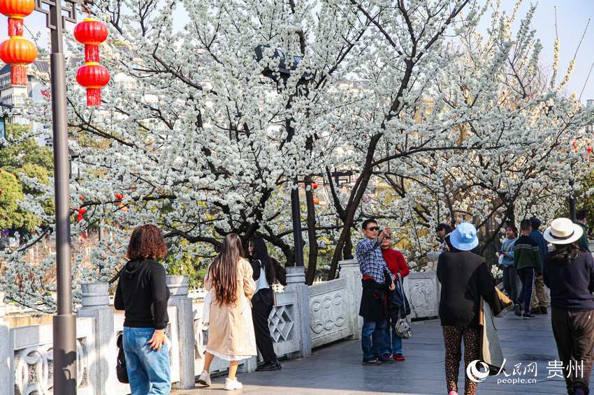 ������ο��ڼ�������ա�����W(w��ng) ���� �z