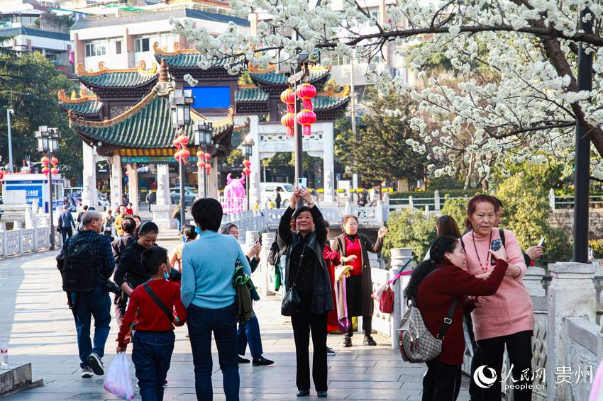 ������ο��ڼ����̤�����ա�����W ���� �z