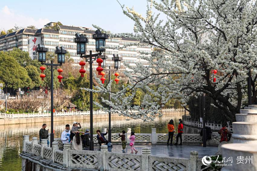 ����������Ӱ������W ���� �z