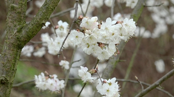 �F��ͩ�����f�����һ�ӭ���`��