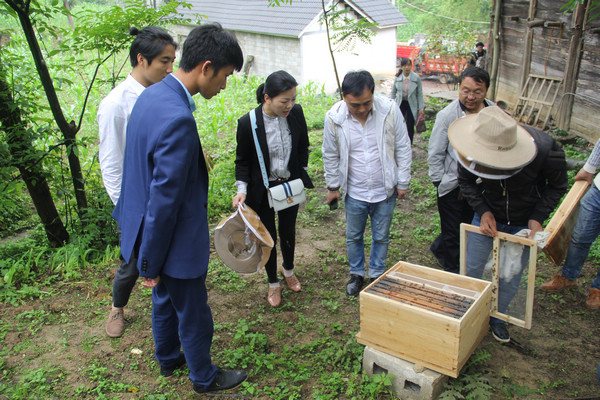 �󷽿h����(li��n)���l(xi��ng)�(zh��n)ҕ��ͷ���I(y��)�\(y��n)�D(zhu��n)����� �z