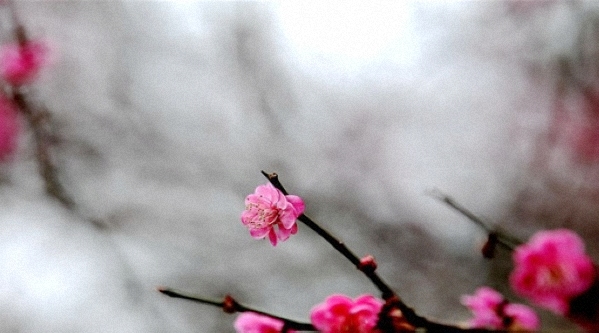 �Fꖻ�Ϫʮ��Ӟ������ⰻȻ �ѻ��`��