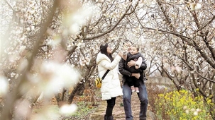 ���һ��_�ό�