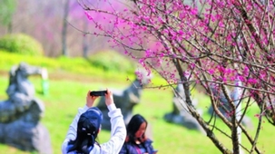 ̤���p�������r