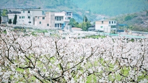 �Ι��һ��_��