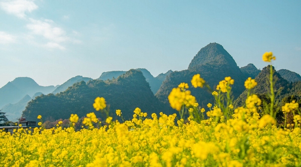 �d�x���f�������Ͳ˻��_������M�D��