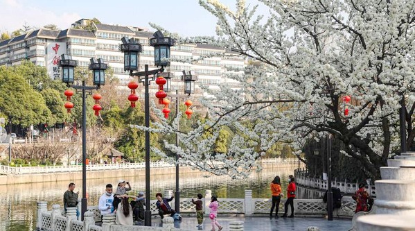 �Fꖼ���ǣ�����u�⻨ʢ�� �����v���p�ҷ�