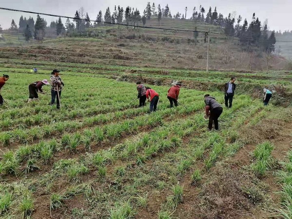 �������Լ��T�ڵľ��S���؄�(w��)���������������룬߀������