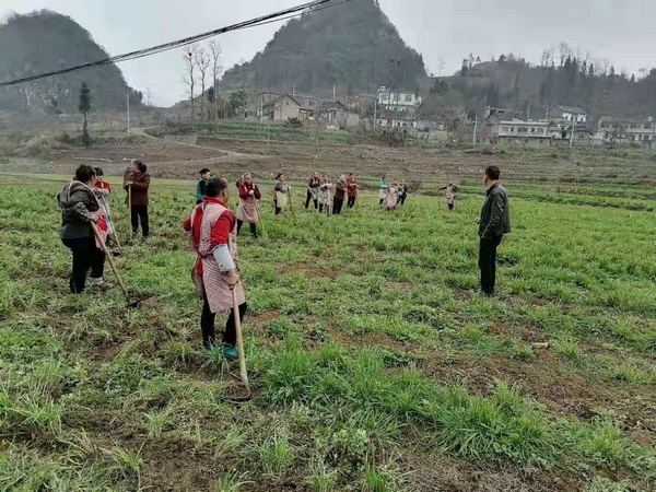 �_չ���ݡ�������Ӗ(x��n)��