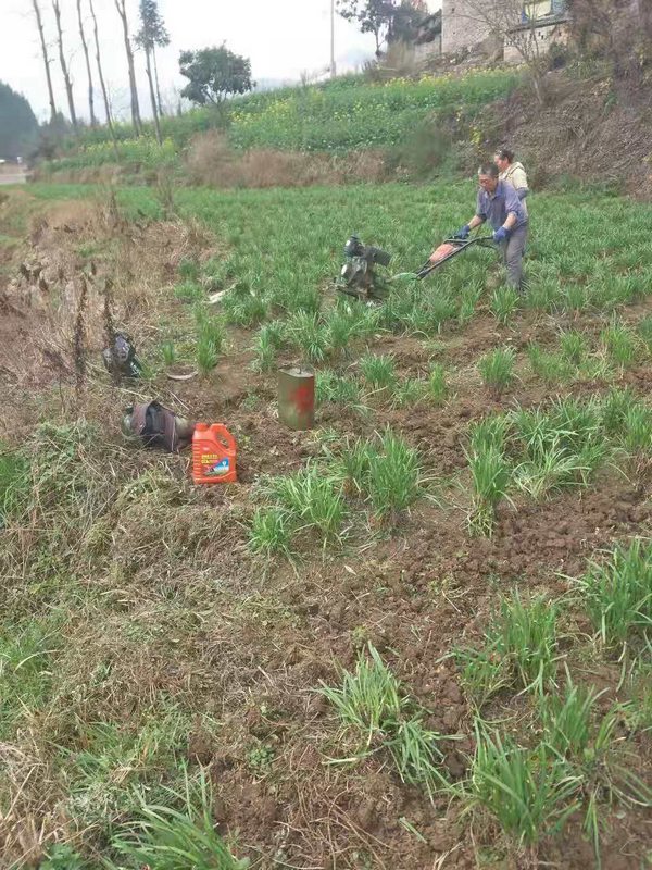 �������ھ��S������չ���