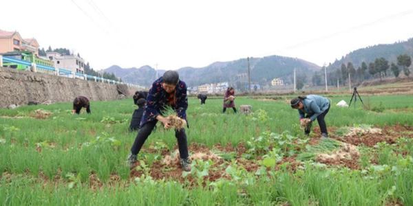 ˮβ����[���ա�