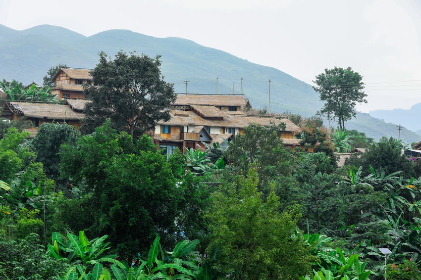 ����媚�������L��Ĳ���С�ǡ��ĕԿ��z