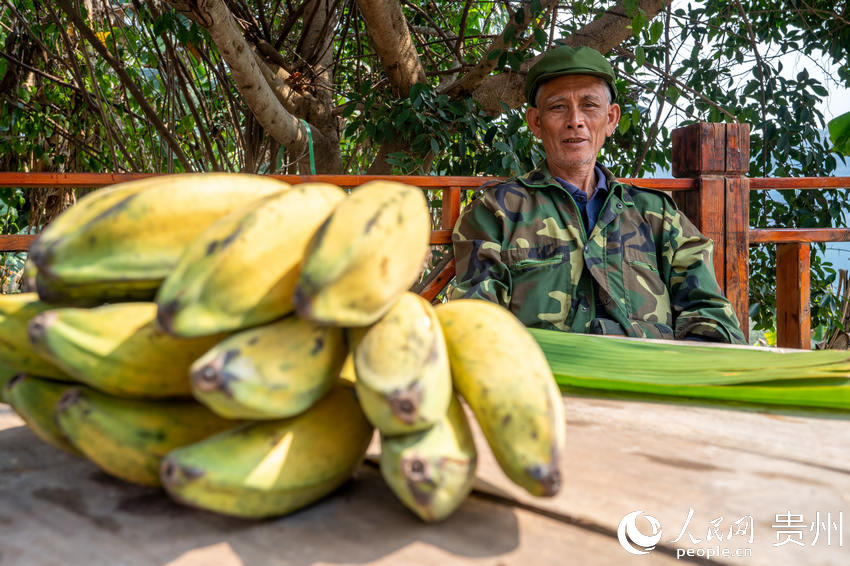 ����������·߅�N�۱����خa�Ž�������W Ϳ���z