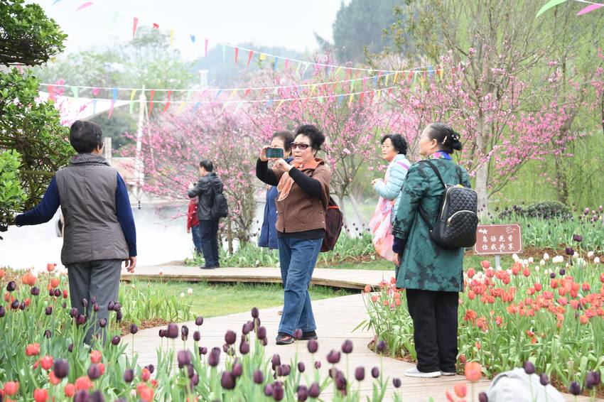 ѻȃ(ni)ο𵤵z