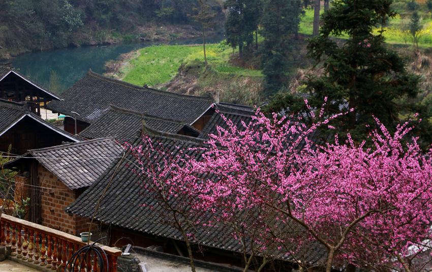 ��������կ�һ�ʢ�_������ƽ�z