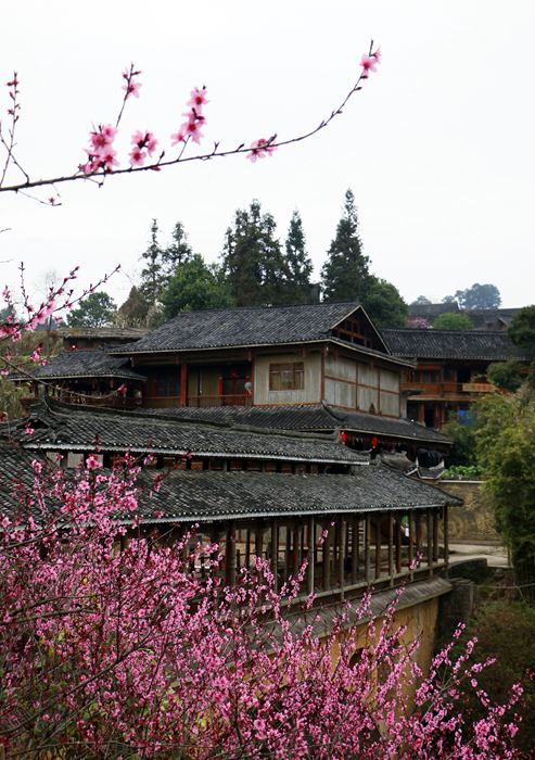 ��������կ�һ�ʢ�_������ƽ�z