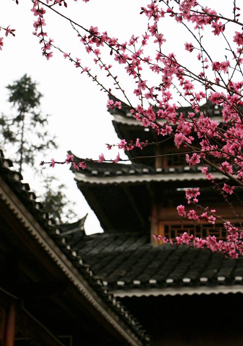 ��������կ�Ę����һ�ʢ�_������ƽ�z