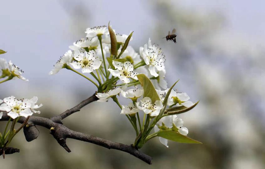 ��������կ�滨�uҷ���ˡ�����ƽ�z