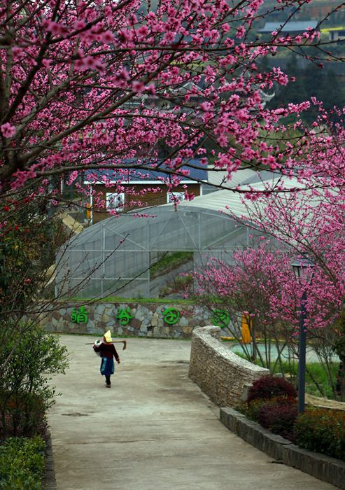 ��������կ�{ݮ�a�I�@�^�һ��`�š�����ƽ�z