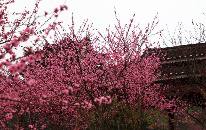 ��������կ������һ�ʢ�_(k��i)������ƽ�z