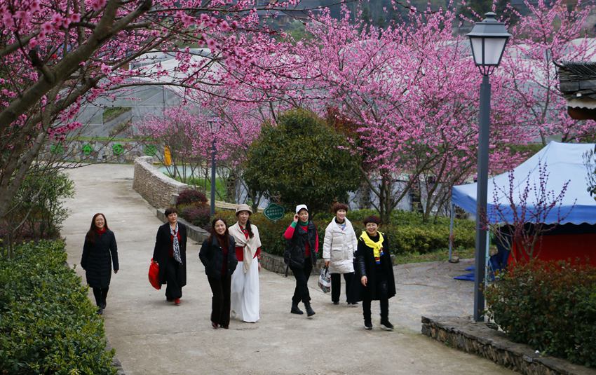 �ο͵���������կ�p��������ƽ�z