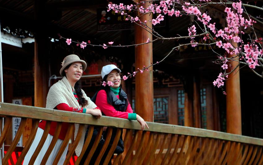 �ο͵���������կ�p���^��������ƽ�z