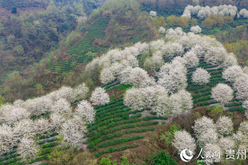 ���ľð��F����Ч���~�Nֲʾ���@������W Ϳ���z