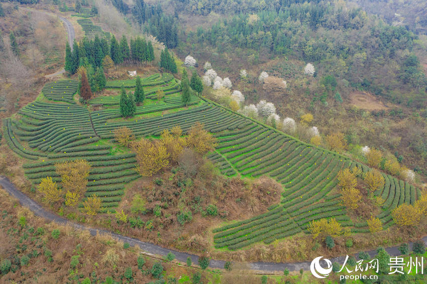 ���ľð��F����Ч���~�Nֲʾ���@������W Ϳ���z