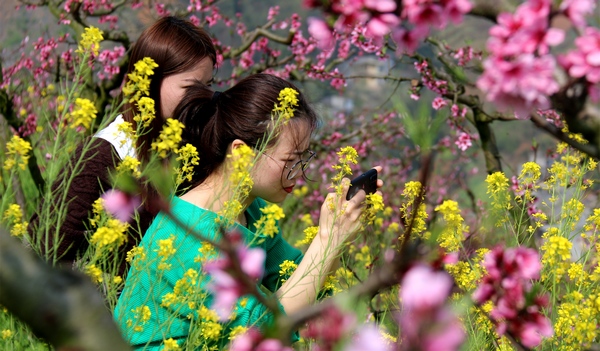 �󷽿h؈��(ch��ng)�(zh��n)�L(zh��ng)ɳ�塰����ɽ���ϣ������ο��ڻ��������p������Ӗ(x��n)�F�z