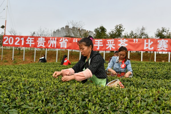 ���p�ֲɲ衱��ِ�ٲɲ輼��������