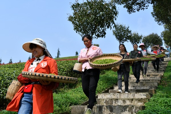 ���p�ֲɲ衱��ِ�ٲɲ輼��������