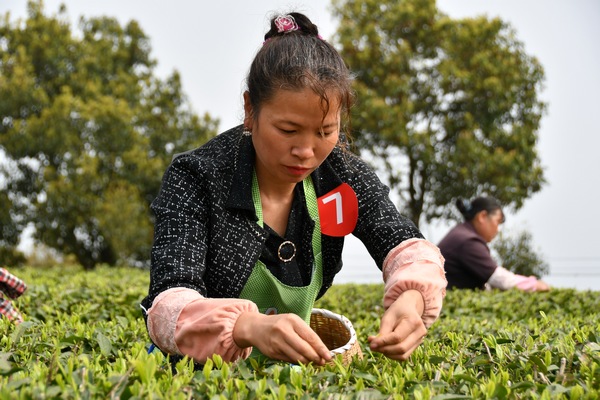 ���p�ֲɲ衱��ِ�ٲɲ輼��������