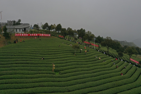 ��ِ�F����