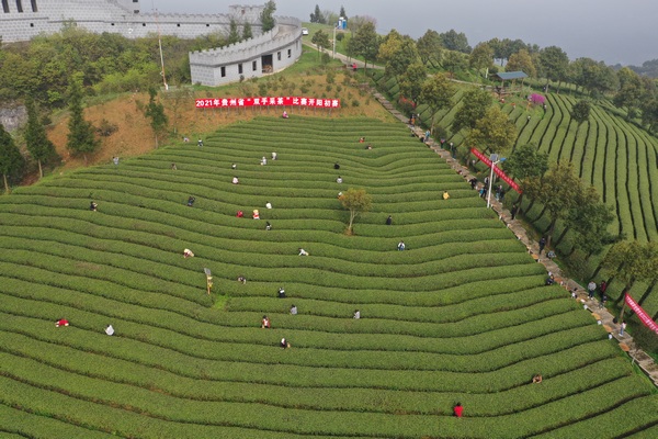 ��ِ�F����