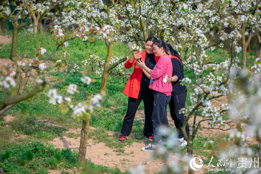 �ο�����@�����ա�����W Ϳ���z