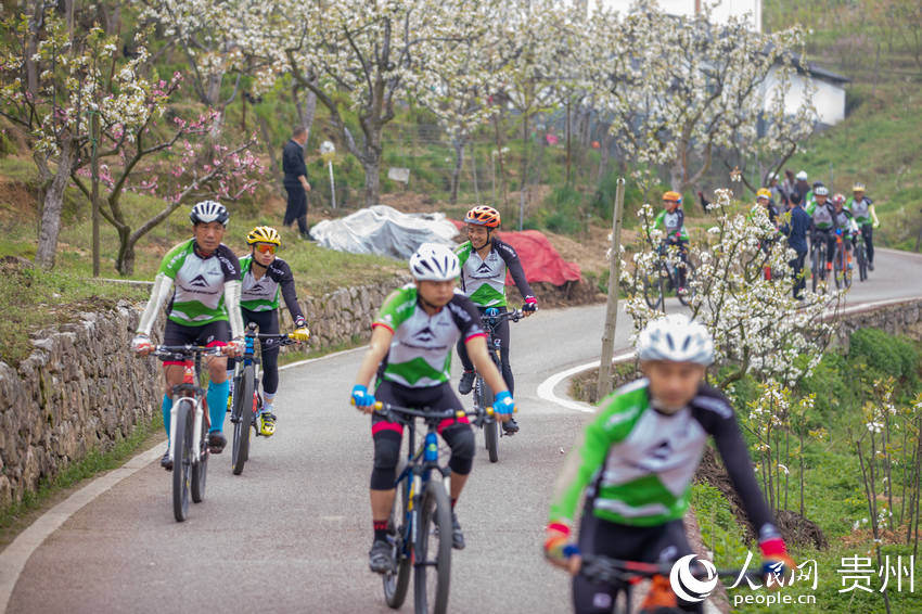 �T�Аۺ�������@���T�С�����W Ϳ���z