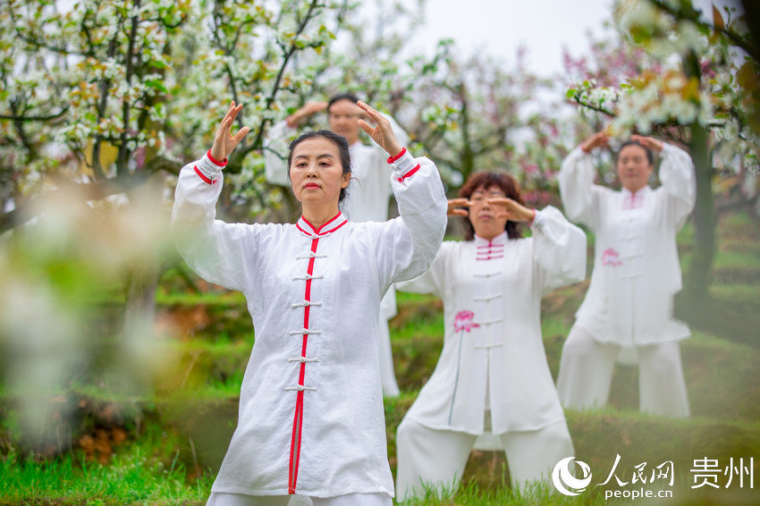 �ο�����@�Ⱦ�̫�O������W Ϳ���z