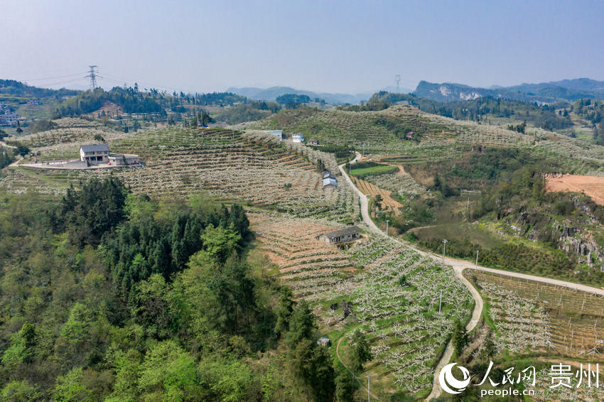 ���ĸ�Ȫ�н�ɽ�ֵ��p�ȴ��f����@������W Ϳ���z