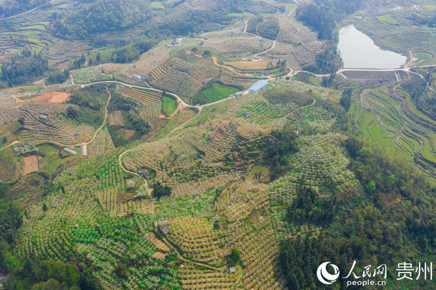 ���ĸ�Ȫ�н�ɽ�ֵ��p�ȴ��f����@������W(w��ng) Ϳ���z