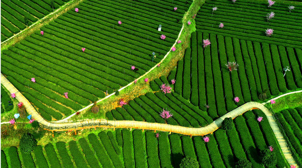 �F�����x���Ӳ����ں�ϵ�����}���